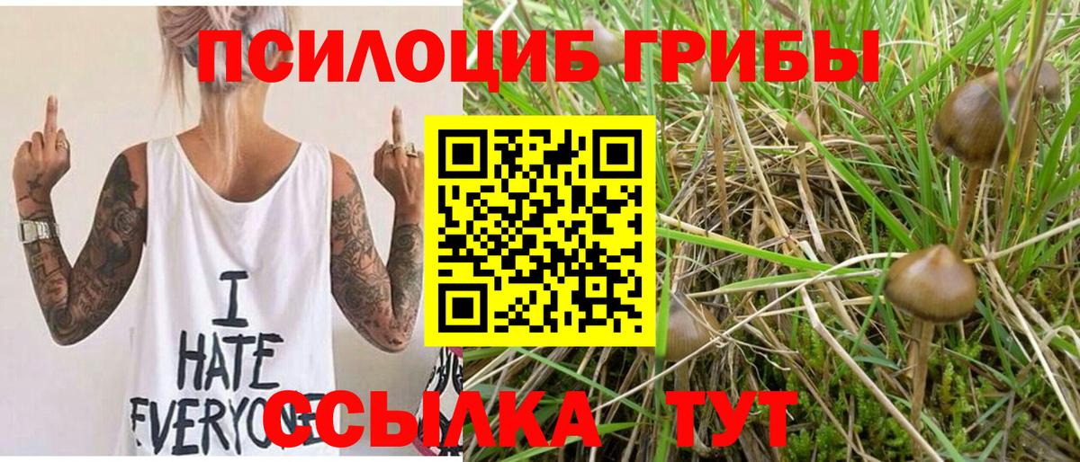 Каннабис Липецк