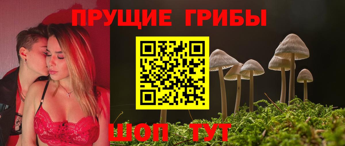 Липецк  Псилоцибиновые грибы ЛСД  Вход с VPN 