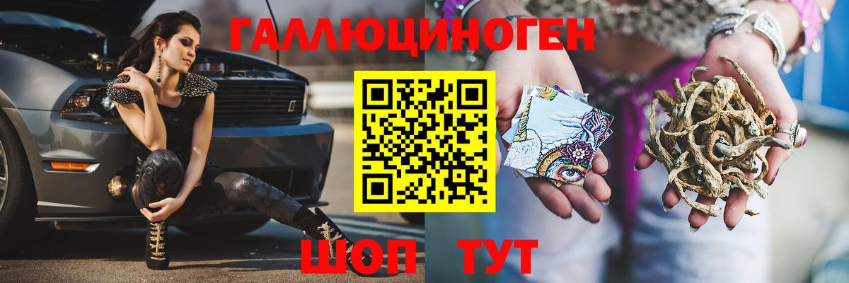Псилоцибиновые грибы Cubensis Липецк